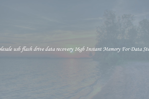 Wholesale usb flash drive data recovery 16gb Instant Memory For Data Storage