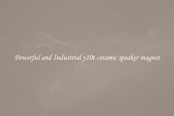 Powerful and Industrial y10t ceramic speaker magnet