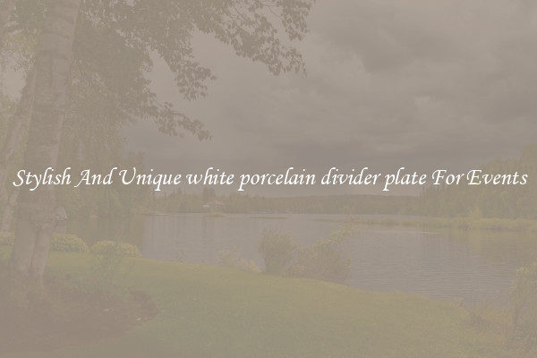 Stylish And Unique white porcelain divider plate For Events