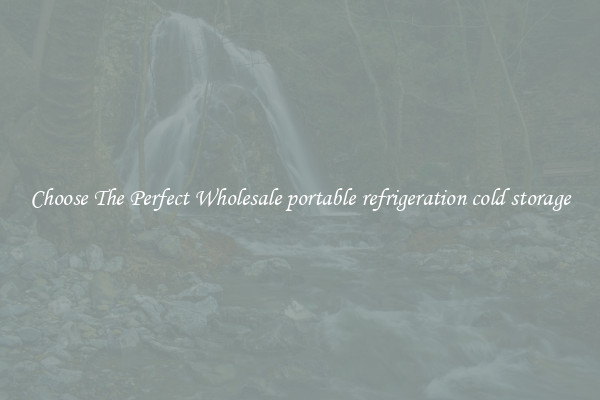 Choose The Perfect Wholesale portable refrigeration cold storage