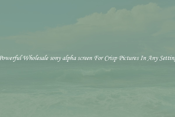 Powerful Wholesale sony alpha screen For Crisp Pictures In Any Setting