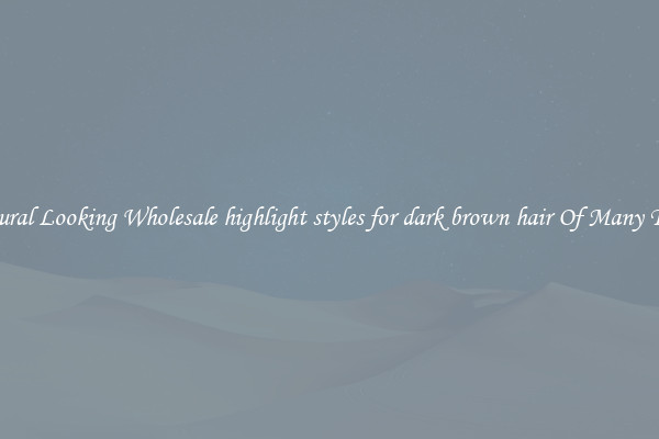 Natural Looking Wholesale highlight styles for dark brown hair Of Many Types