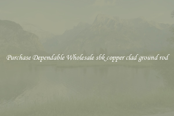 Purchase Dependable Wholesale sbk copper clad ground rod