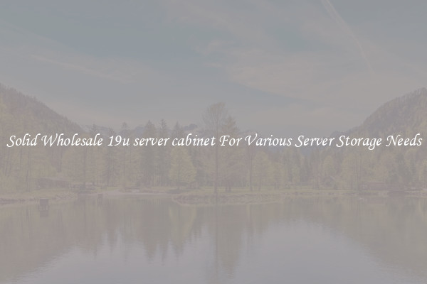 Solid Wholesale 19u server cabinet For Various Server Storage Needs