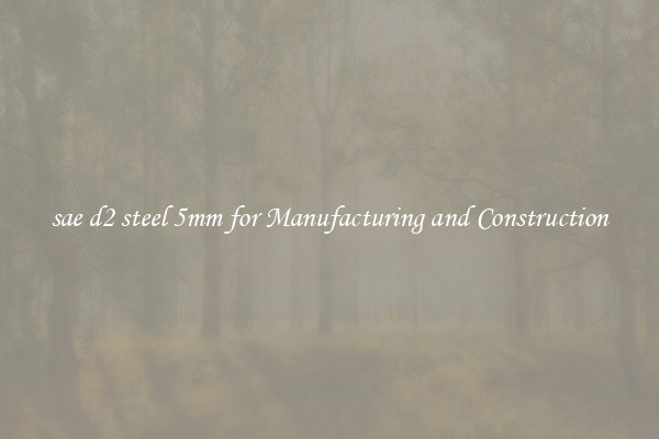 sae d2 steel 5mm for Manufacturing and Construction