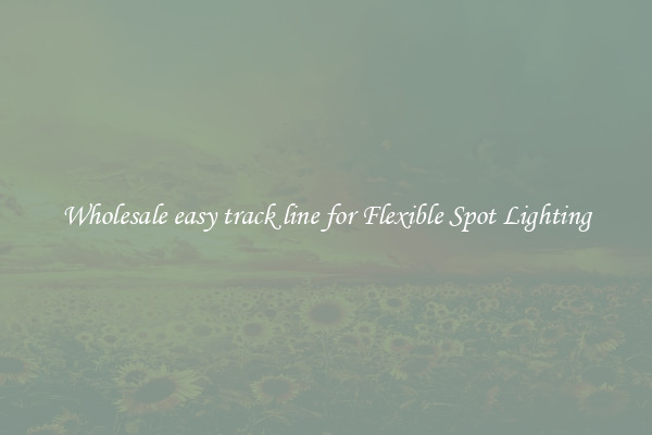Wholesale easy track line for Flexible Spot Lighting