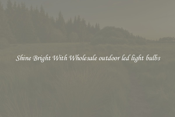 Shine Bright With Wholesale outdoor led light bulbs
