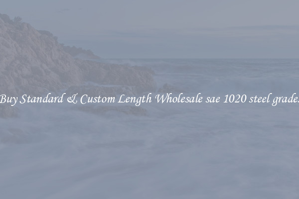 Buy Standard & Custom Length Wholesale sae 1020 steel grades
