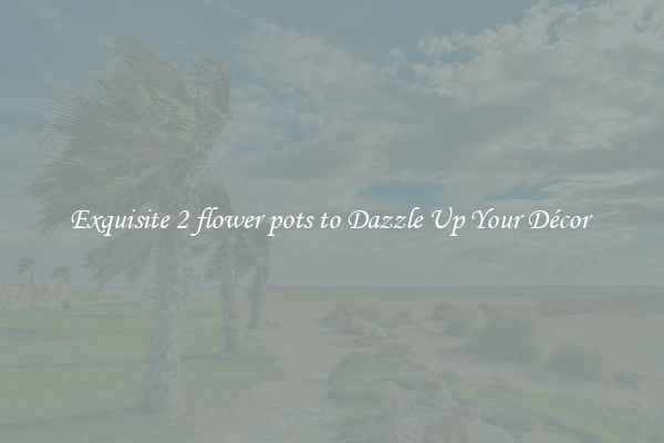 Exquisite 2 flower pots to Dazzle Up Your Décor 