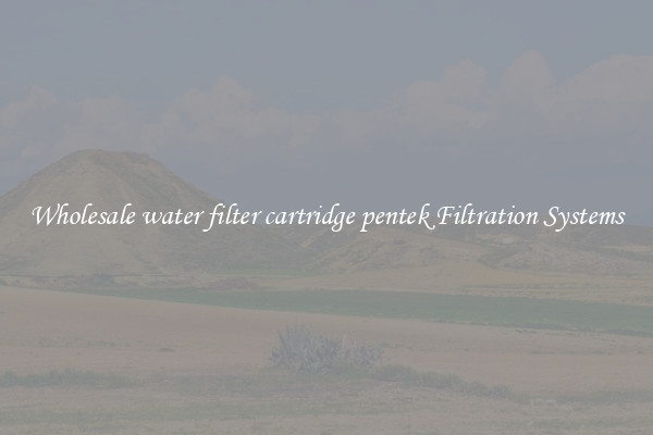Wholesale water filter cartridge pentek Filtration Systems