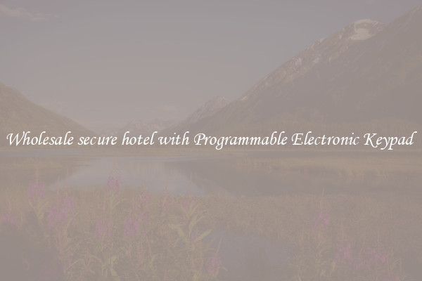 Wholesale secure hotel with Programmable Electronic Keypad 