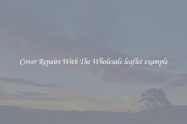  Cover Repairs With The Wholesale leaflet example 