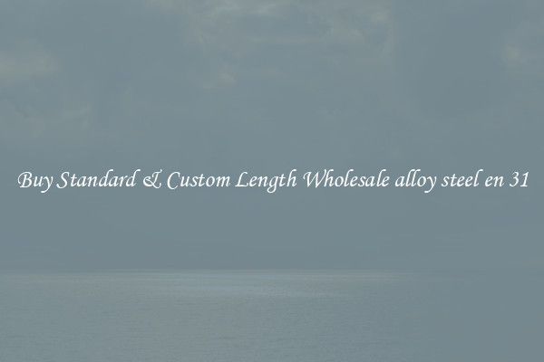 Buy Standard & Custom Length Wholesale alloy steel en 31