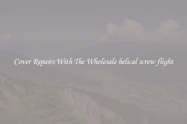  Cover Repairs With The Wholesale helical screw flight 