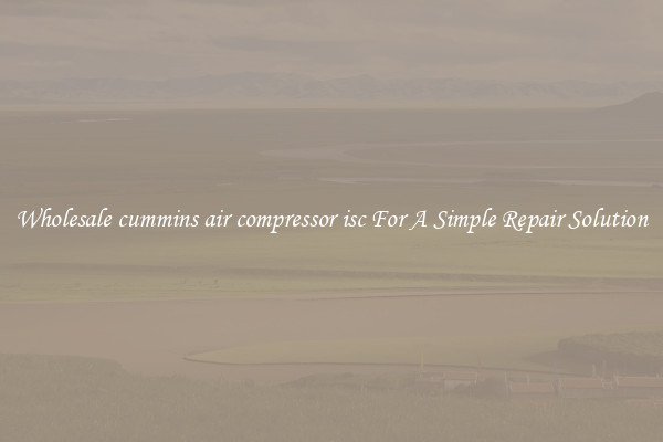 Wholesale cummins air compressor isc For A Simple Repair Solution