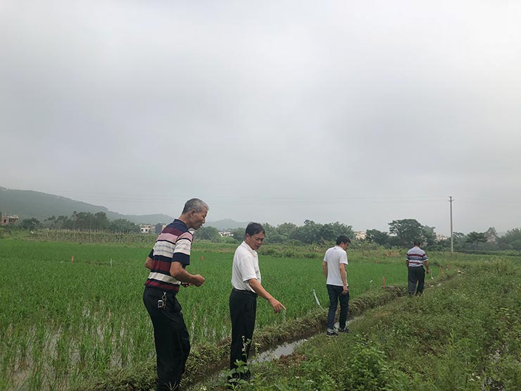 J9旗舰厅(中国区)官方网站