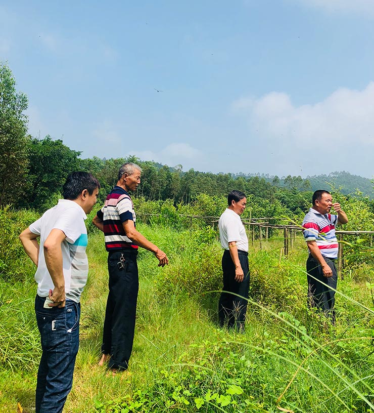 J9旗舰厅(中国区)官方网站