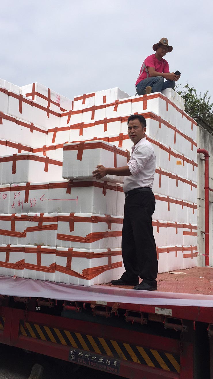 J9旗舰厅(中国区)官方网站