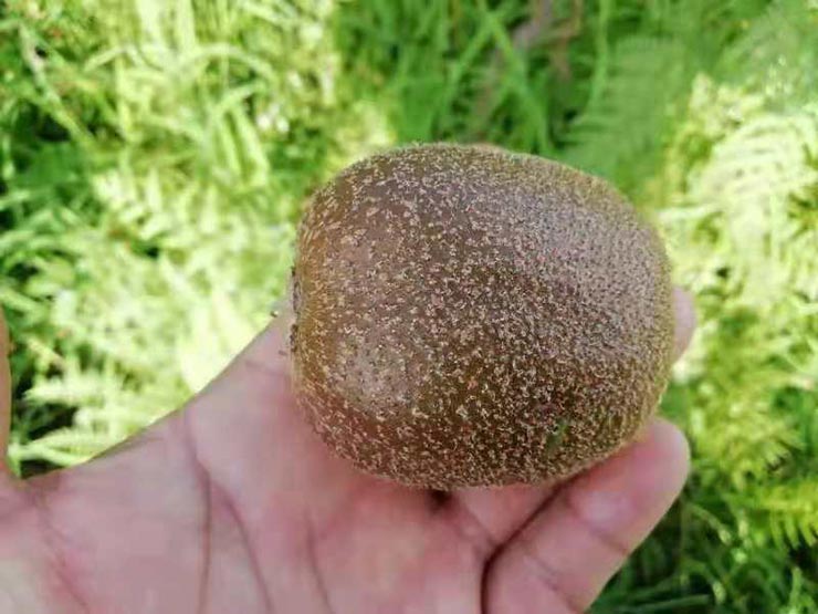 J9旗舰厅(中国区)官方网站