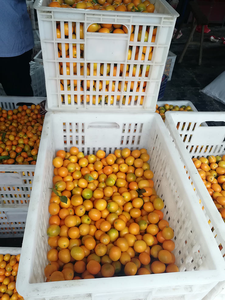 J9旗舰厅(中国区)官方网站