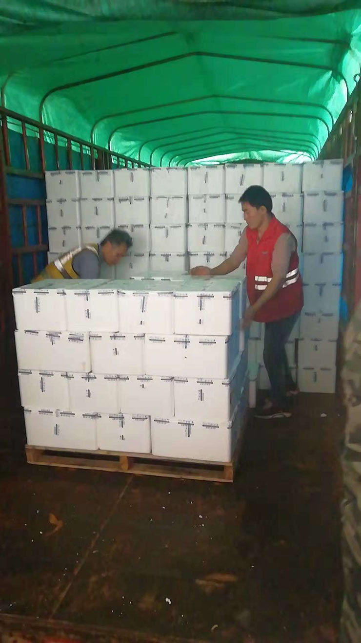 J9旗舰厅(中国区)官方网站