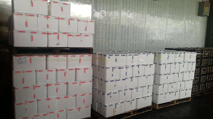 J9旗舰厅(中国区)官方网站