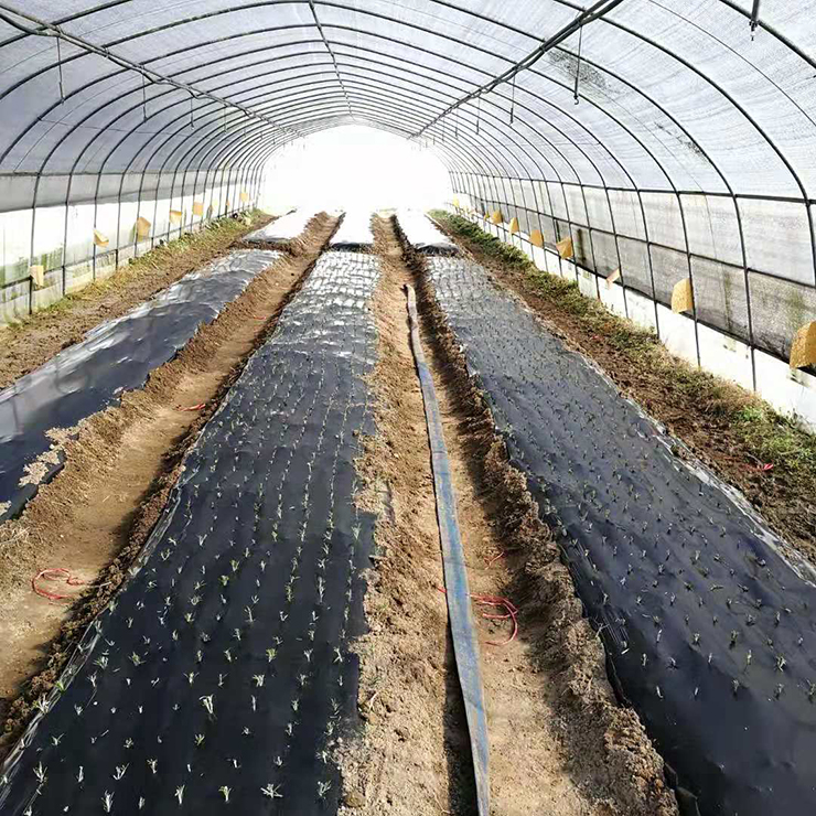 J9旗舰厅(中国区)官方网站