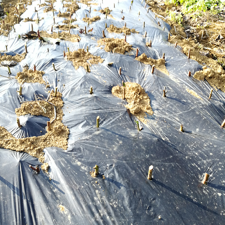 J9旗舰厅(中国区)官方网站