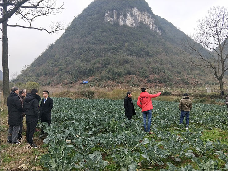 J9旗舰厅(中国区)官方网站