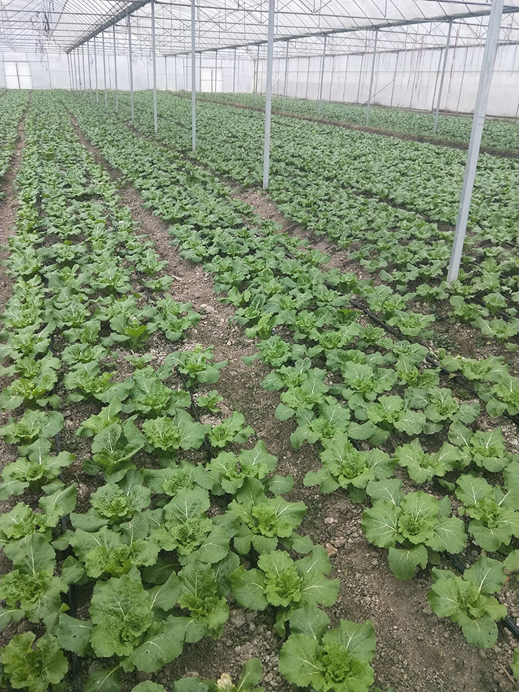 J9旗舰厅(中国区)官方网站