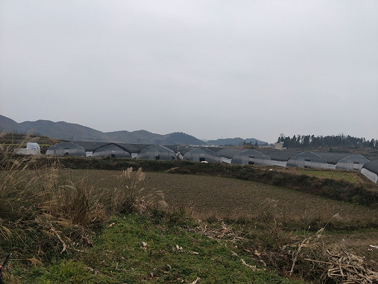 J9旗舰厅(中国区)官方网站