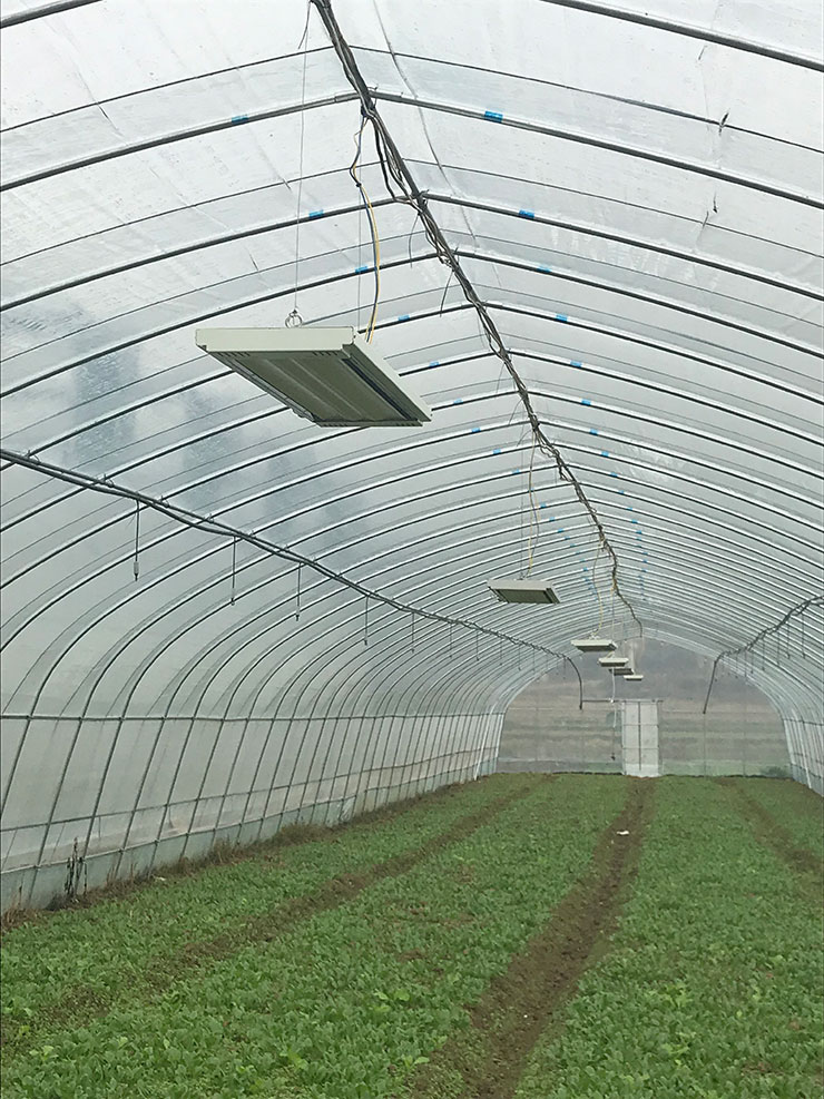 J9旗舰厅(中国区)官方网站