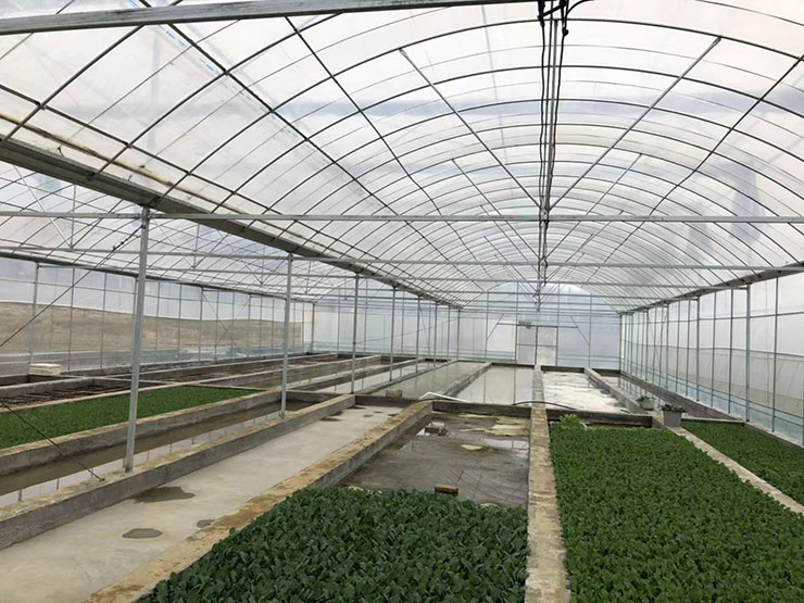 J9旗舰厅(中国区)官方网站