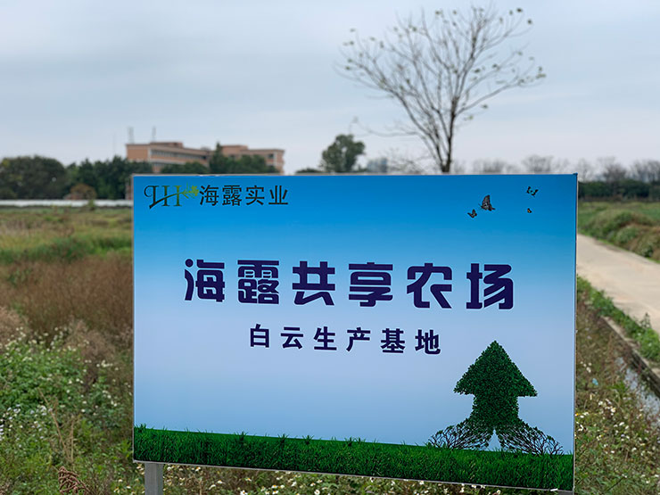 J9旗舰厅(中国区)官方网站