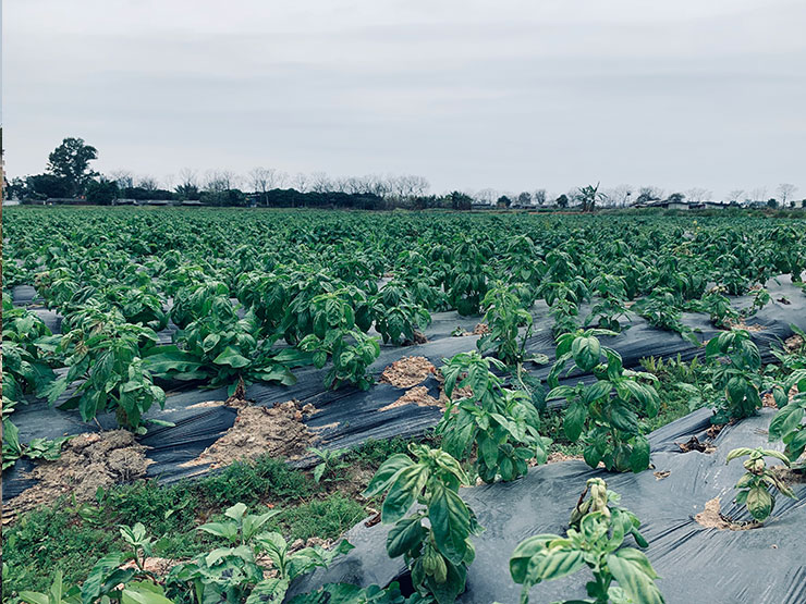 J9旗舰厅(中国区)官方网站