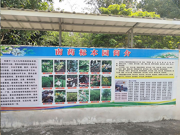 J9旗舰厅(中国区)官方网站