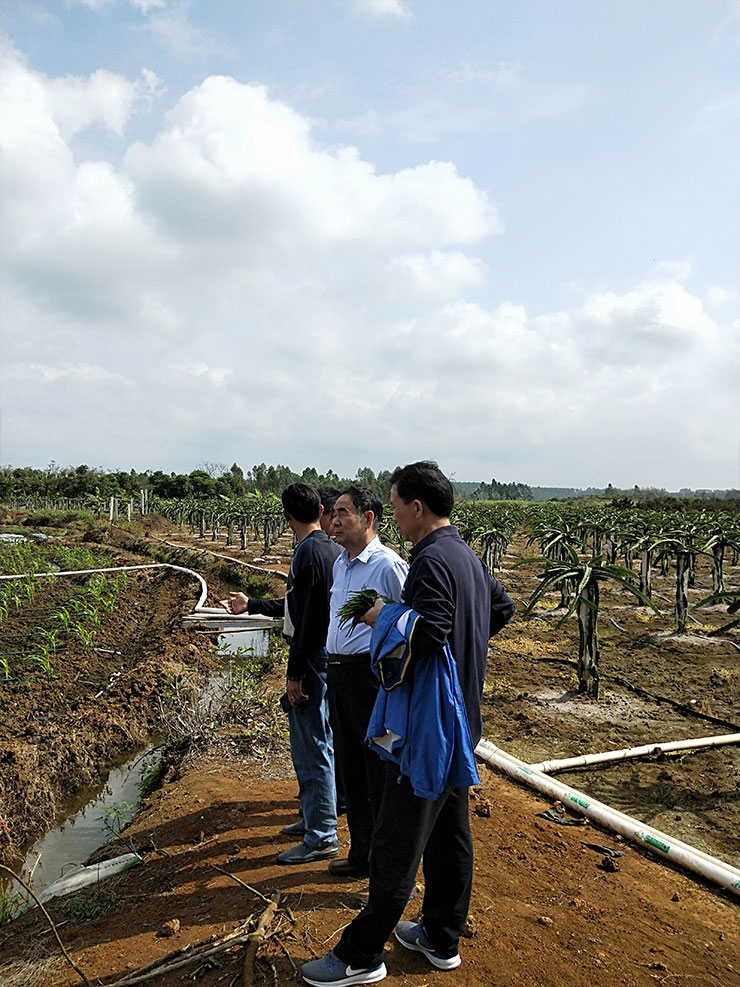 J9旗舰厅(中国区)官方网站