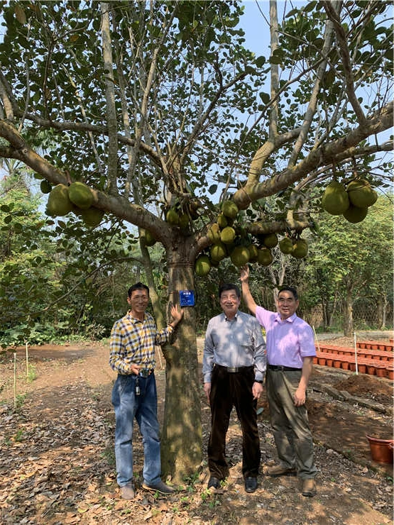 J9旗舰厅(中国区)官方网站