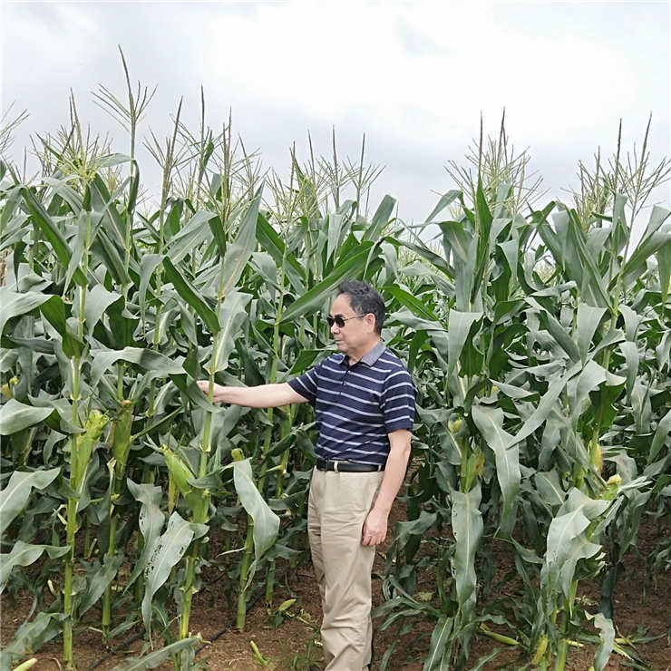 J9旗舰厅(中国区)官方网站