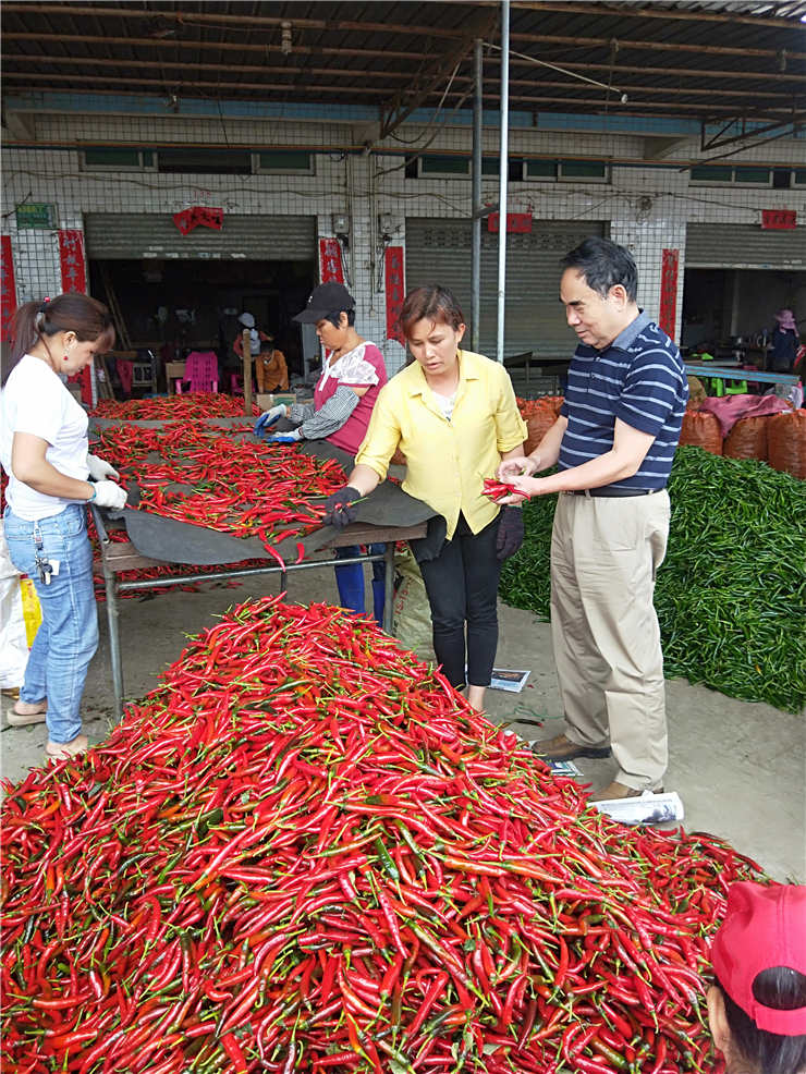 J9旗舰厅(中国区)官方网站