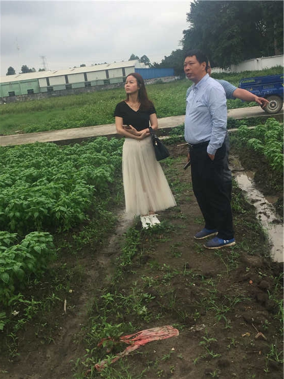 J9旗舰厅(中国区)官方网站