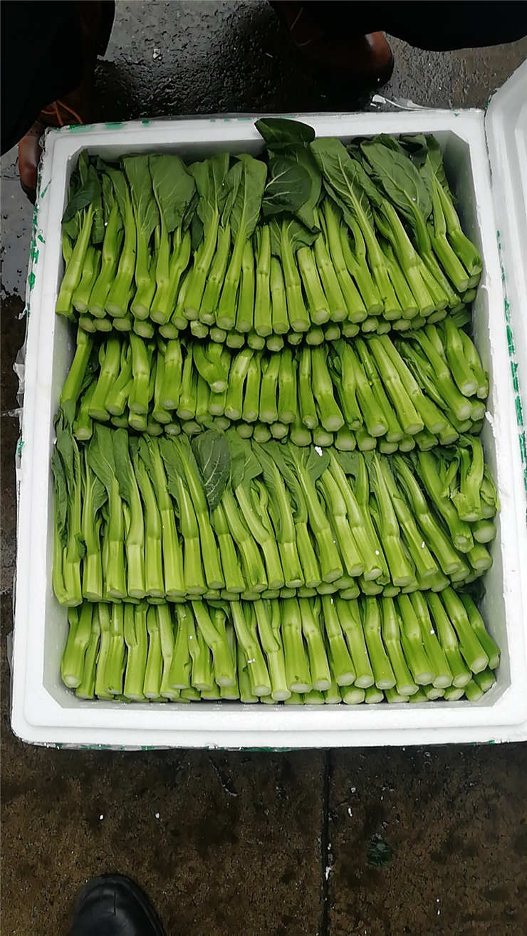 J9旗舰厅(中国区)官方网站