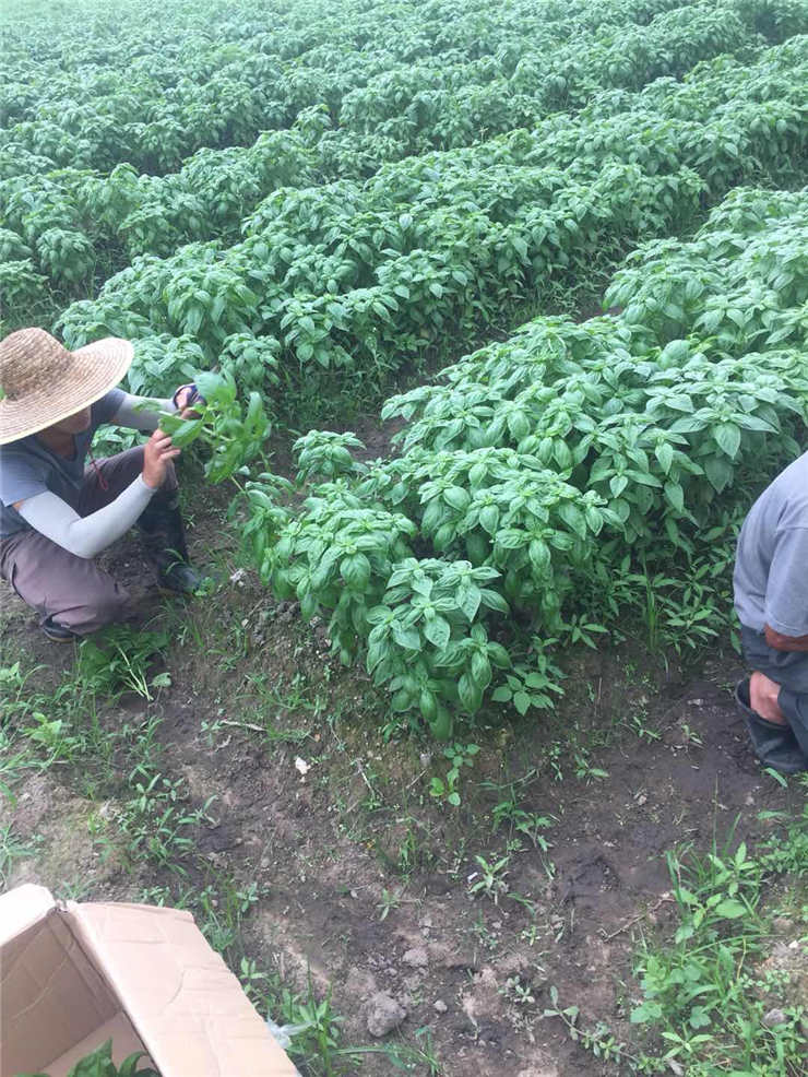 J9旗舰厅(中国区)官方网站