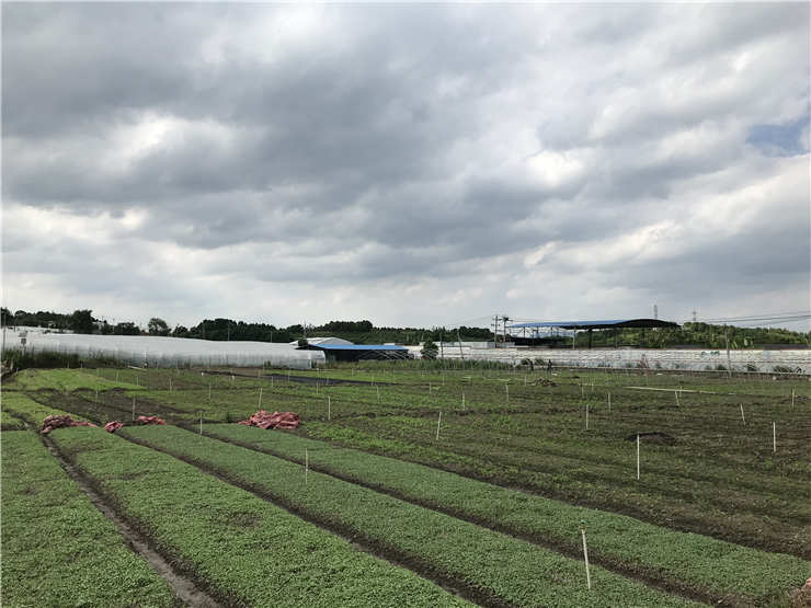 J9旗舰厅(中国区)官方网站