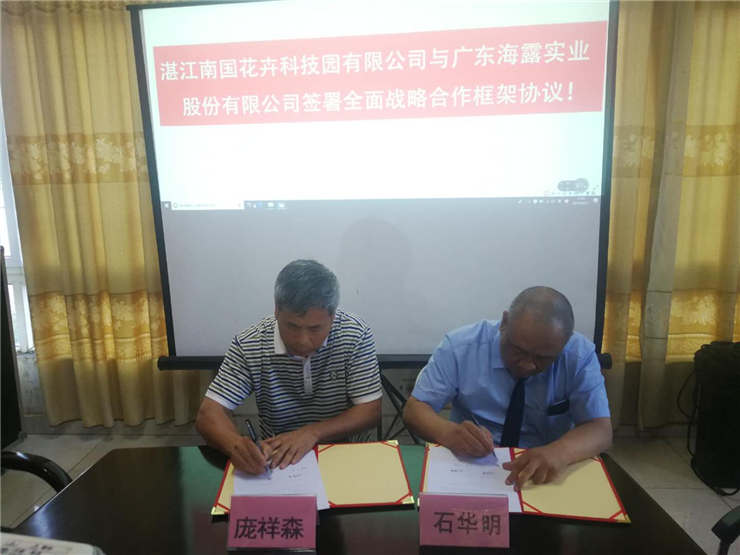 J9旗舰厅(中国区)官方网站