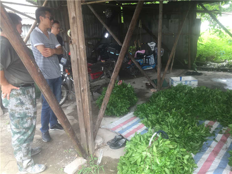 J9旗舰厅(中国区)官方网站