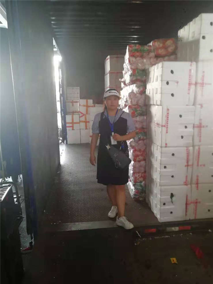 J9旗舰厅(中国区)官方网站