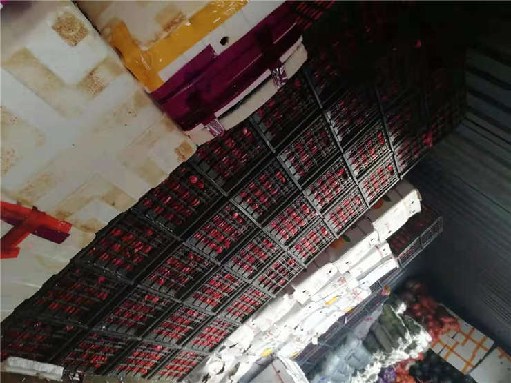 J9旗舰厅(中国区)官方网站