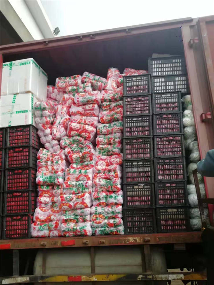 J9旗舰厅(中国区)官方网站