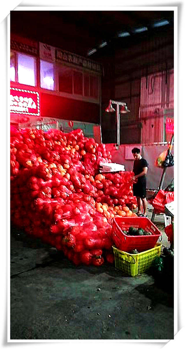 J9旗舰厅(中国区)官方网站